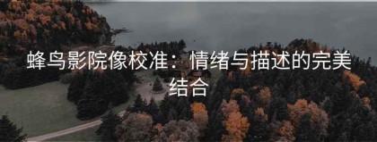 蜂鸟影院像校准：情绪与描述的完美结合