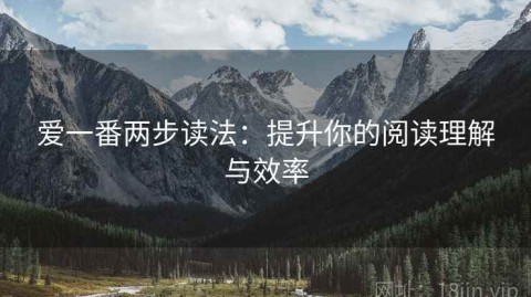 爱一番两步读法：提升你的阅读理解与效率